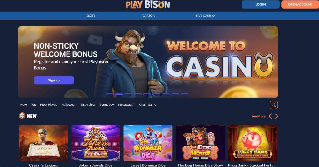 Playbison Online Casino